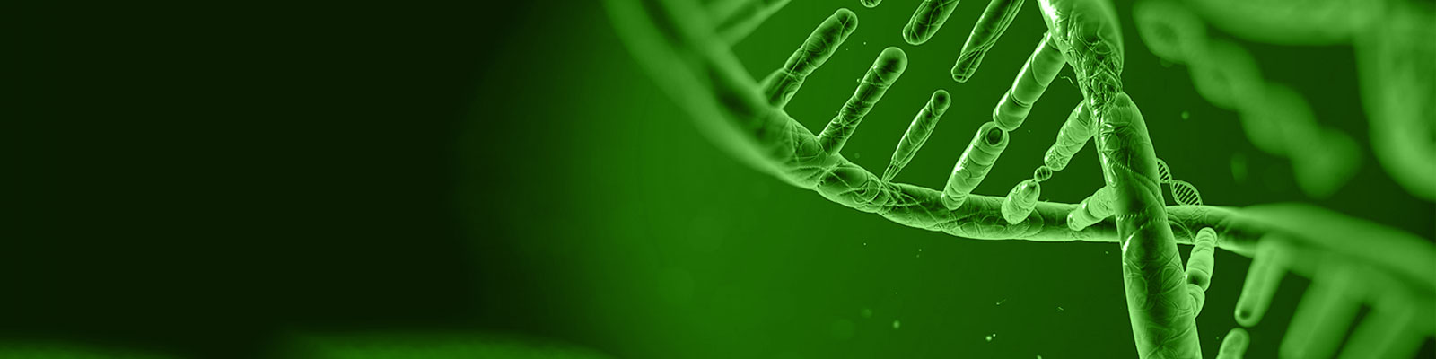 preimplantation-genetic-testing-pgt 
